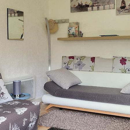 Studio Agreable Et Lumineux Villard-de-Lans Luaran gambar