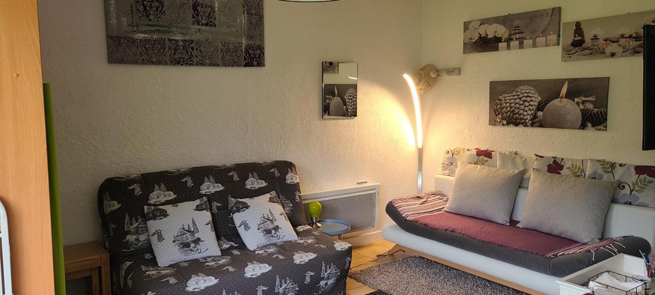 Studio Agreable Et Lumineux Villard-de-Lans Luaran gambar